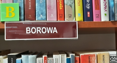 tabliczka z napisem borowa na tle książek
