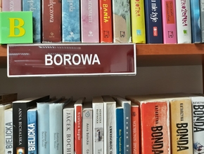 tabliczka z napisem borowa na tle książek