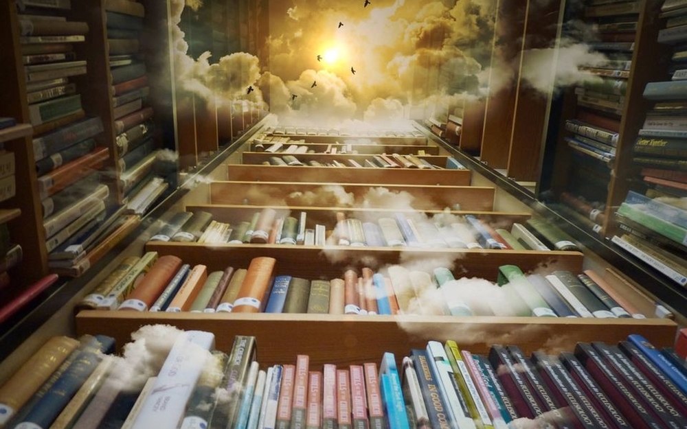 Regały z książkami sfotografowane od dołu, w miejscu sufitu niebo z chmurami, ptaki